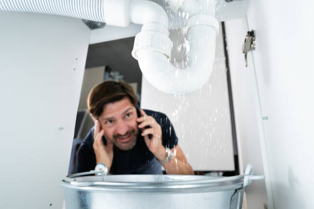 Best Water Leak Repair  in New Glarus, WI