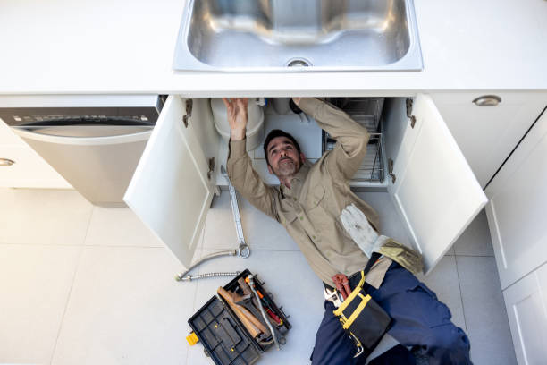 Best Clogged Drain Plumber  in New Glarus, WI